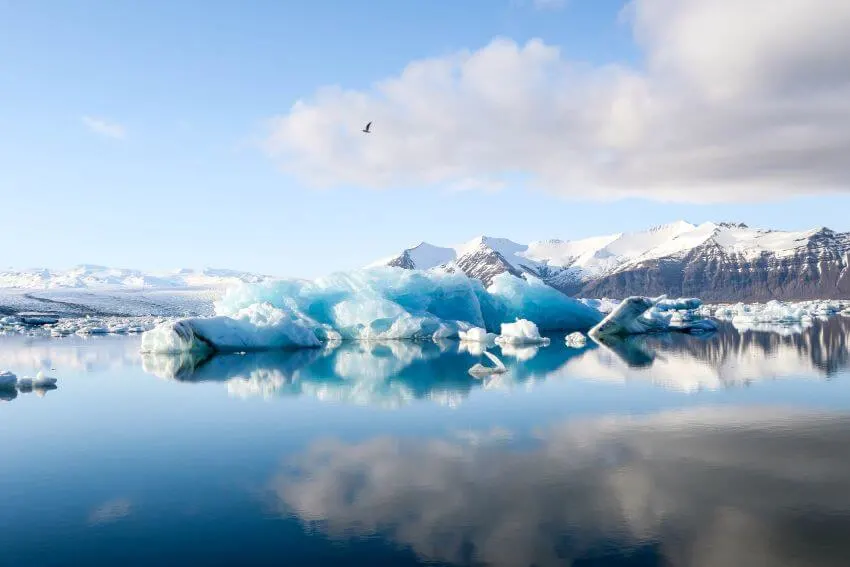 13 Interesting Examples of Habitats 1 Iceberg on Artic