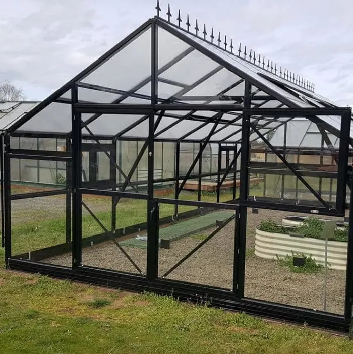 16 Best Glass Greenhouses in 2023 16 Jungle Jane Glass Heavy Tropic