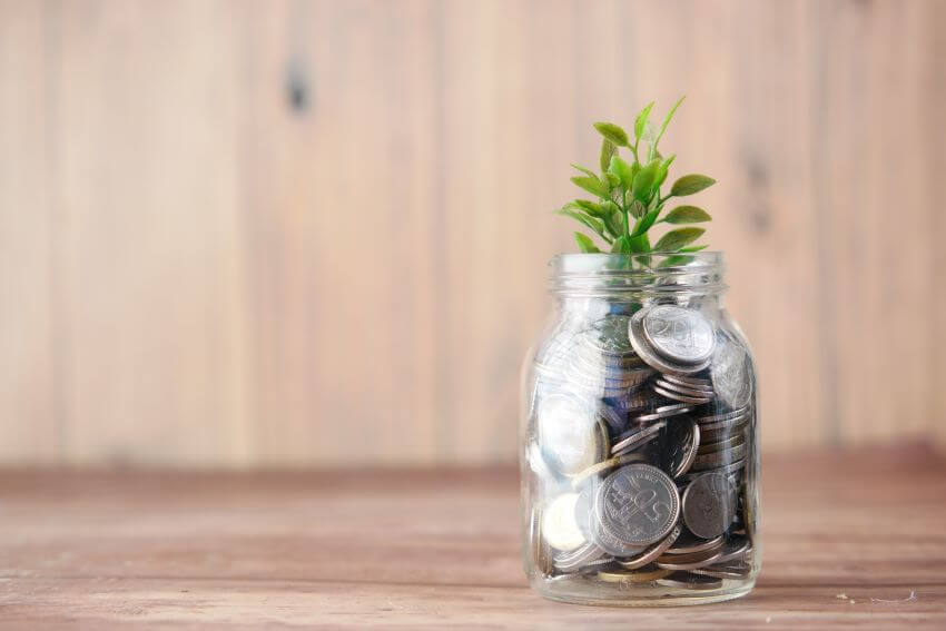 14 Habitat Loss Solutions You Need to Know 12 Money and Plant