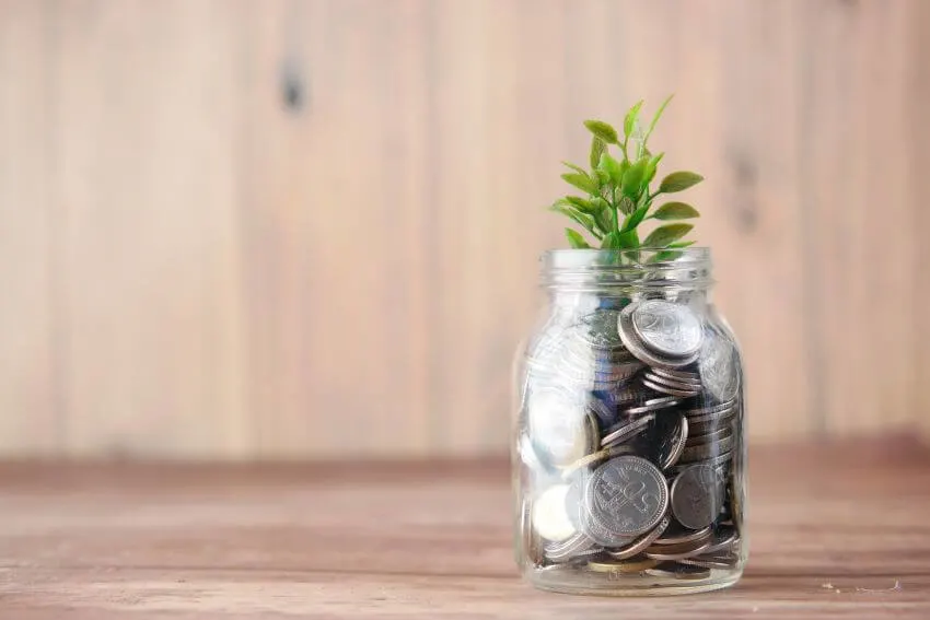 15 Habitat Loss Solutions You Need to Know 12 Money and Plant