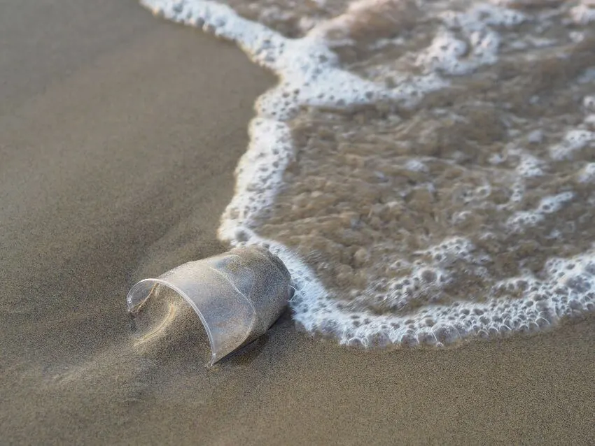 Is Polyvinyl Alcohol Bad for the Environment? 3 Plastic in Water