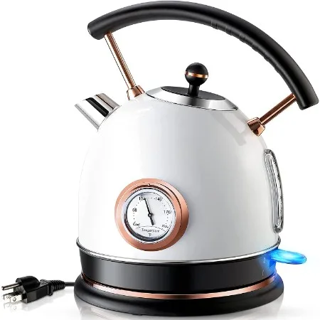 13 Best Energy Efficient Kettles | Eco-Friendly Options 10 Pukomc Retro Electric Kettle