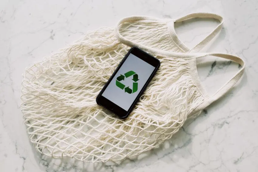 15 Habitat Loss Solutions You Need to Know 2 Recycle