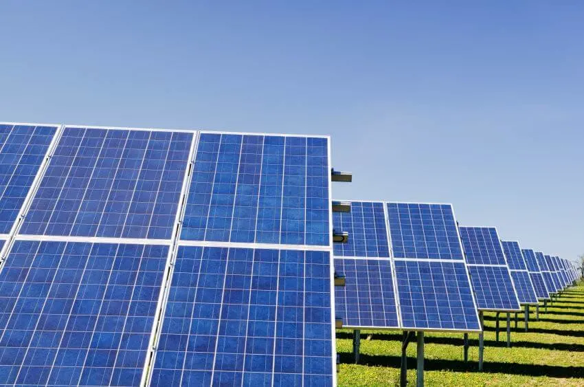 15 Habitat Loss Solutions You Need to Know 10 Renewable Resources