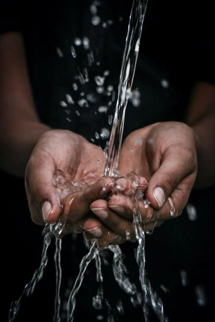15 Habitat Loss Solutions You Need to Know 8 Running Water