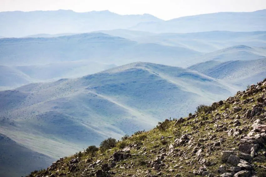 16 Different Types of Habitats Around the World 10 Scenic Steppes