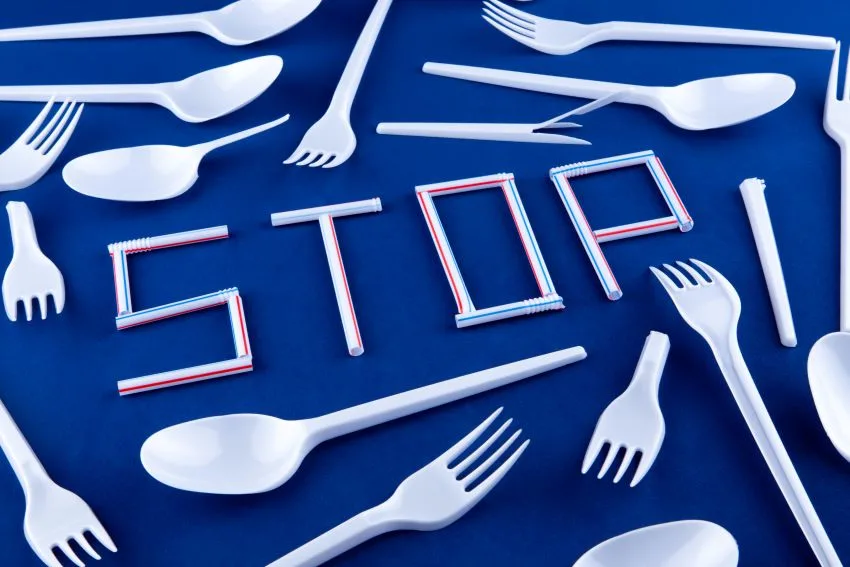 15 Habitat Loss Solutions You Need to Know 4 Single-use Plastic Products