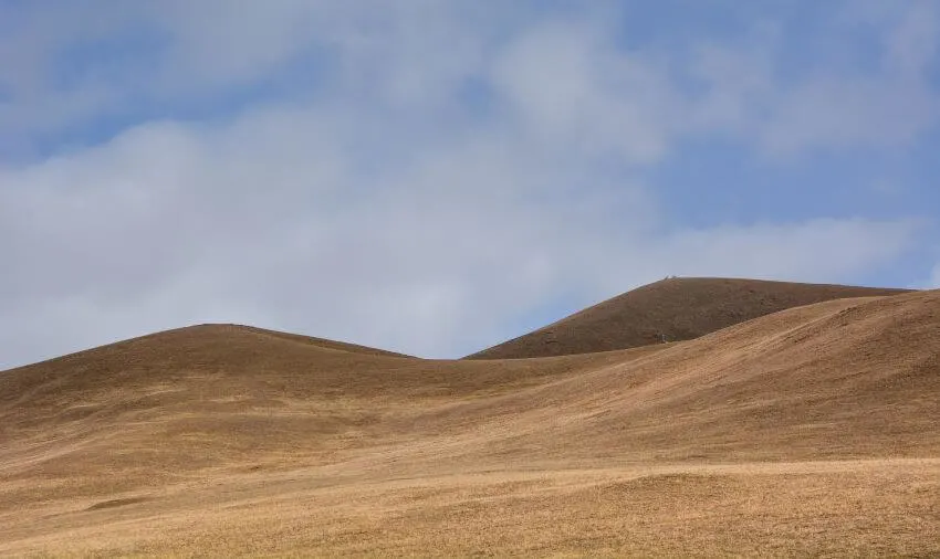 13 Interesting Examples of Habitats 10 Steppes