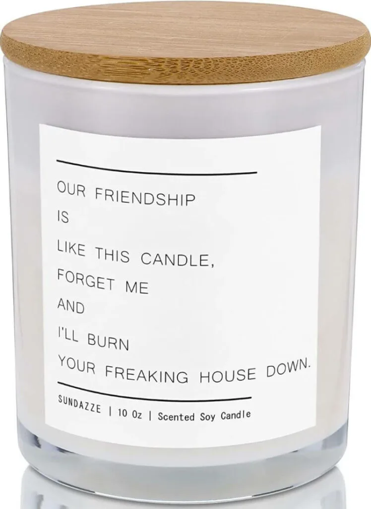 Sundazze Candle Our Friendship is Like This Candle