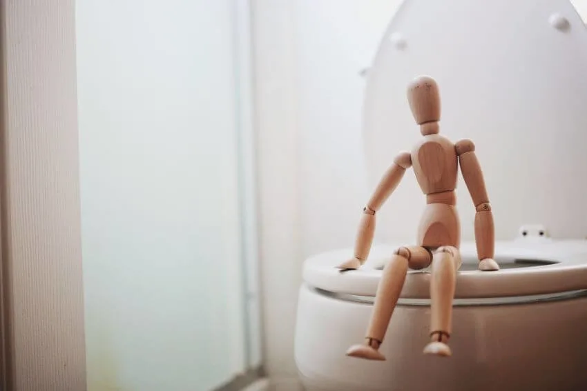 Toilet and Wooden Man