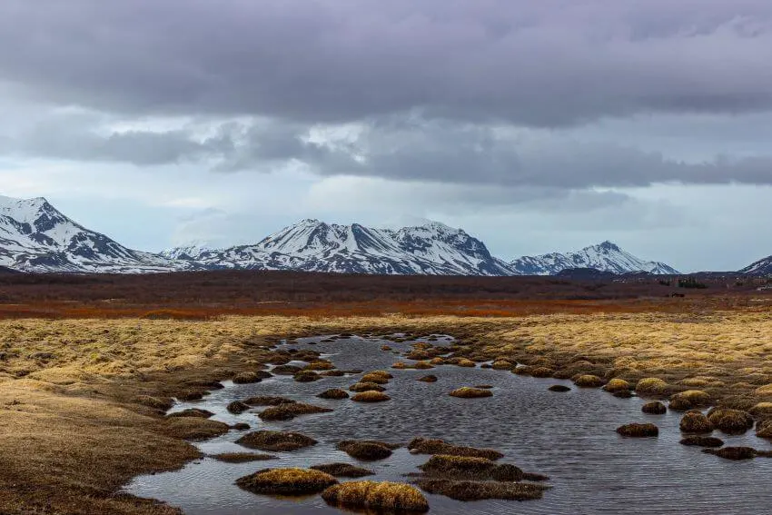 13 Interesting Examples of Habitats 8 Tundra