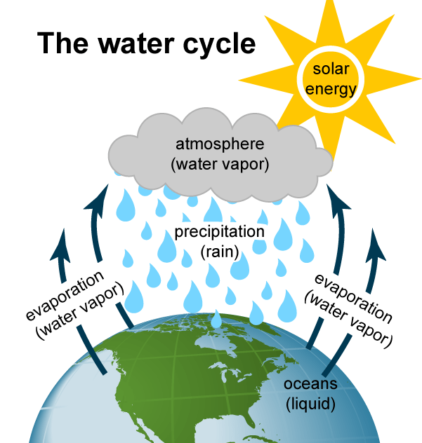 Water Cycle