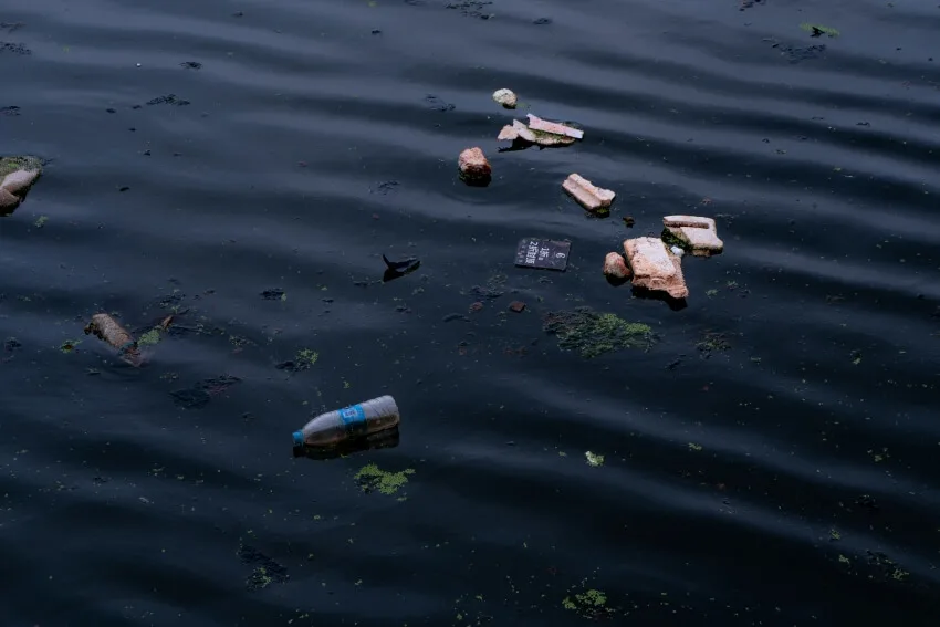 10 Most Endangered Species in Alaska 10 Most Polluted Rivers in the United States