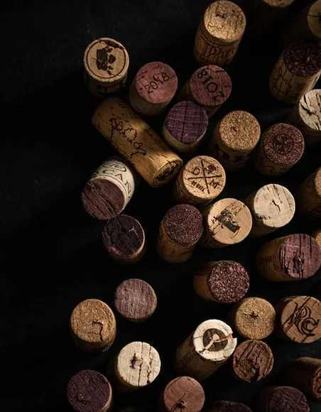 Are Cork Trees Endangered? Things May Not Be What They Seem 6 Wine Stoppers