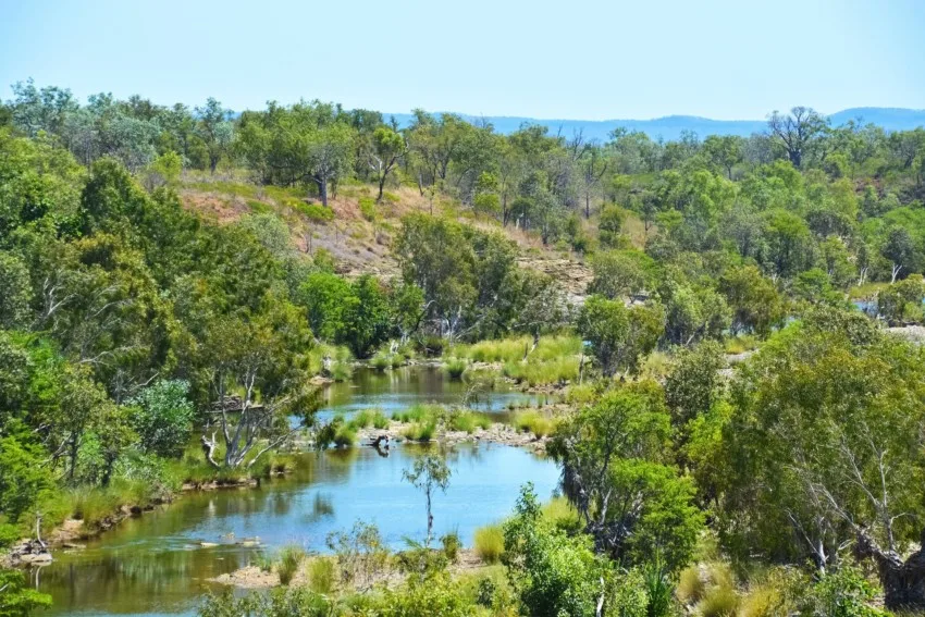 Habitat vs Ecosystem vs Biome: What’s the Difference? 1 biome 1