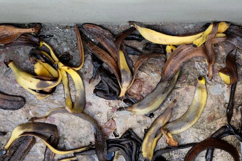 Top view of banana peel