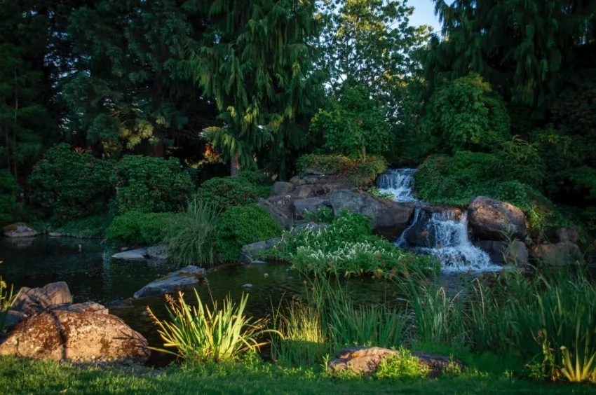 Habitat vs Ecosystem vs Biome: What’s the Difference? 7 ecosystem 7