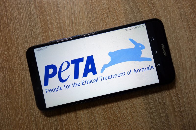 PETA organization logo displayed on smartphone