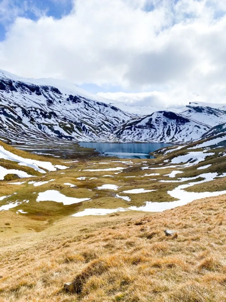 Habitat vs Ecosystem vs Biome: What’s the Difference? 6 tundra 6