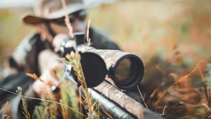 Is Hunting Good or Bad for the Environment?