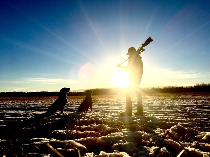 A Hunter and Two Dogs