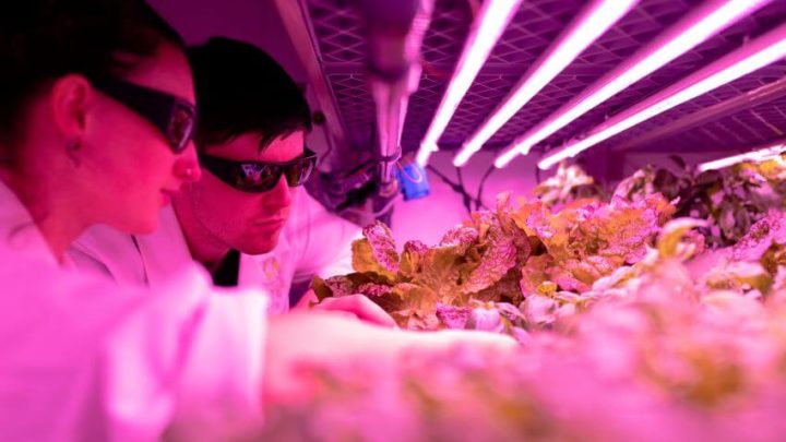 Genetic Engineering Pros and Cons