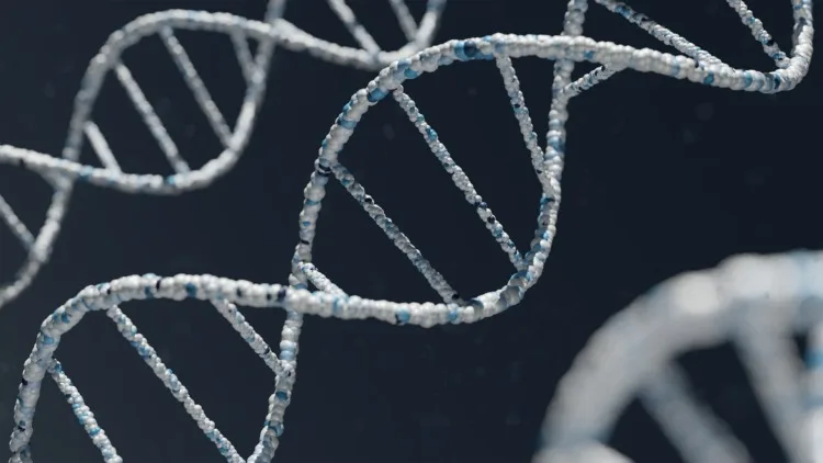 20 Important Genetic Engineering Pros and Cons to Know 12 DNA Structure up-close