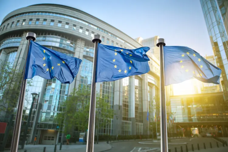 20 Important Genetic Engineering Pros and Cons to Know 21 European union flag against parliament in Brussels, Belgium