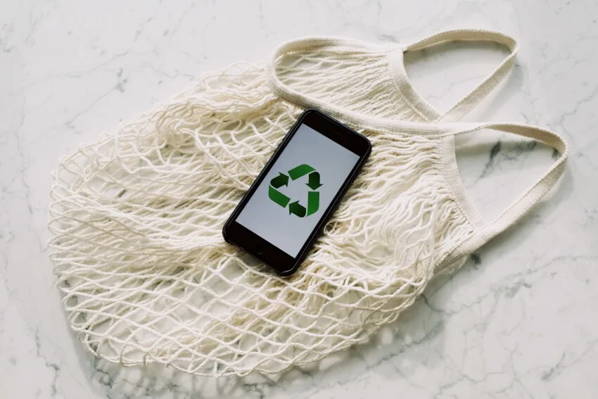 How to Start Teaching Sustainability in Schools 4 Going Green By Recycling