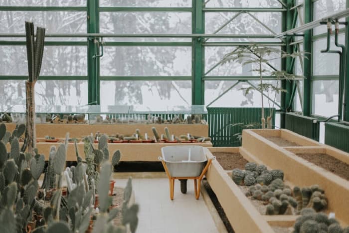 Greenhouse with Different Types of Cactus