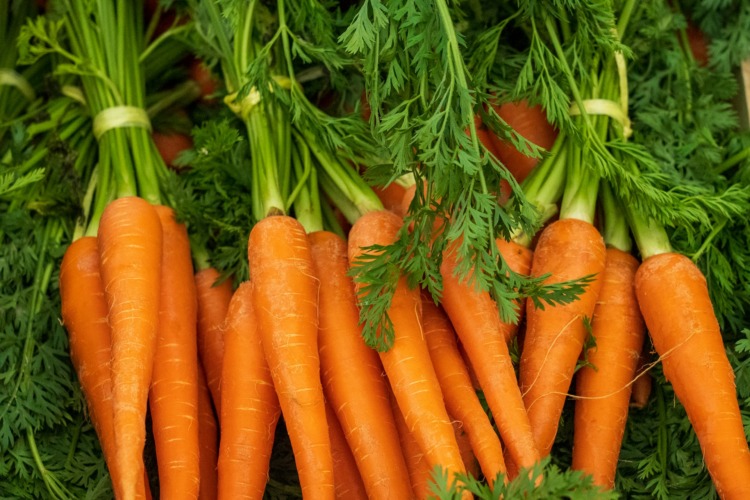 Fresh carrots at a Farmer’s Market
