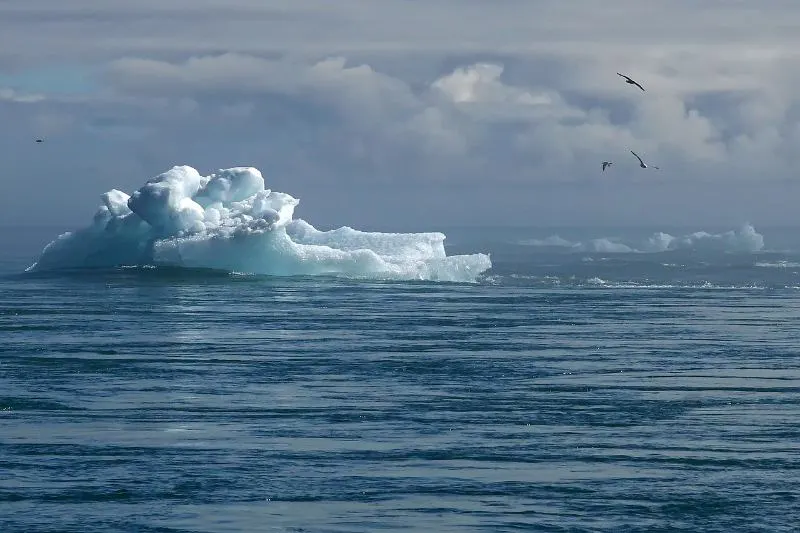 How to Start Teaching Sustainability in Schools 1 Iceberg