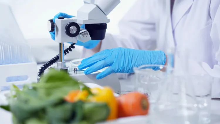 20 Important Genetic Engineering Pros and Cons to Know 17 Scientist checking crop genes