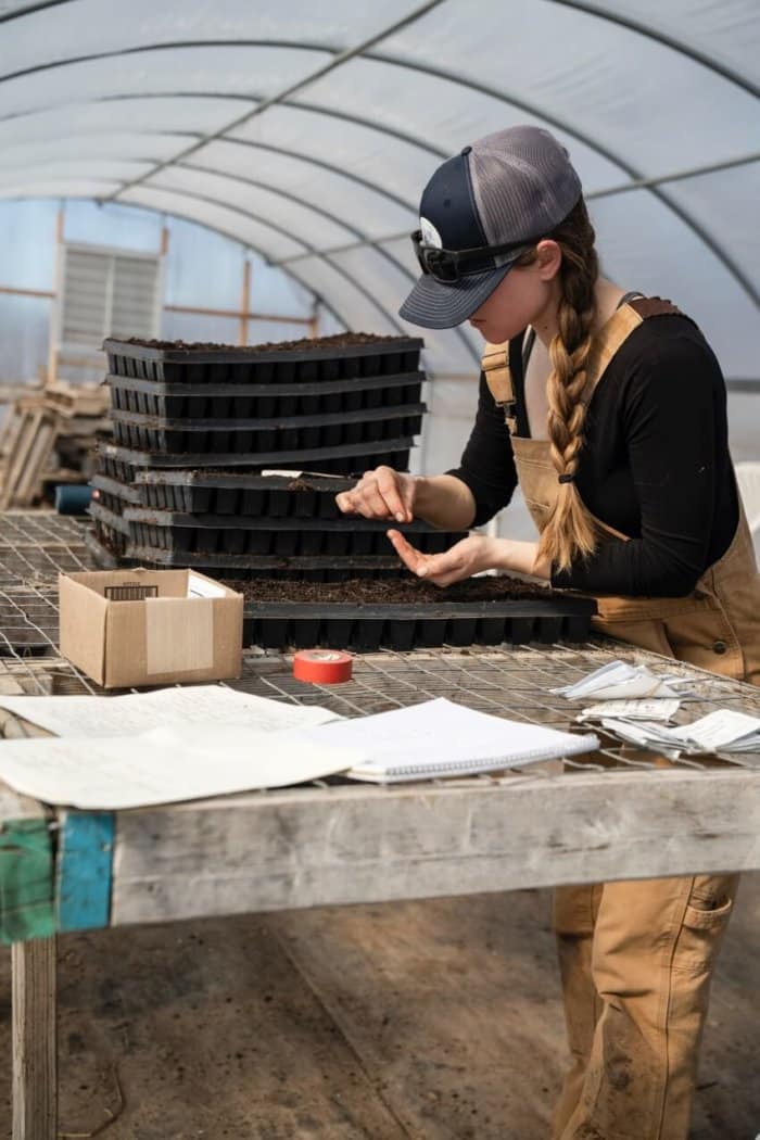 Do Greenhouses Stay Warm in Winter? What You Need to Know 2 Woman Setting Up A Greenhouse