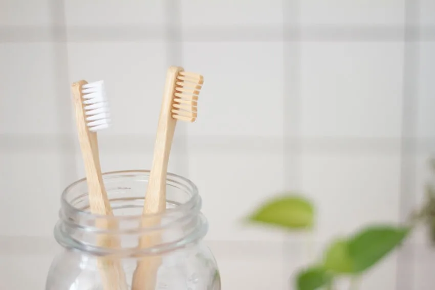 Wooden Toothbrush