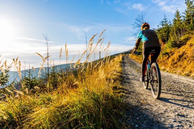 Mountain biking woman riding on bike in summer mountains forest