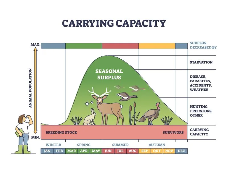 What Is the Main Effect of Overpopulation on Animals? 4 Diagram Explanation of Carrying Capacity