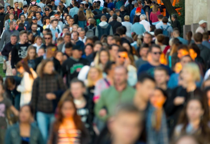 What Is the Main Effect of Overpopulation on Animals? What Is the Main Effect of Overpopulation on Animals?