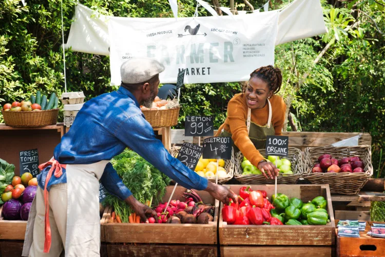 Greengrocer preparing organic fresh agricultural product at farmer market