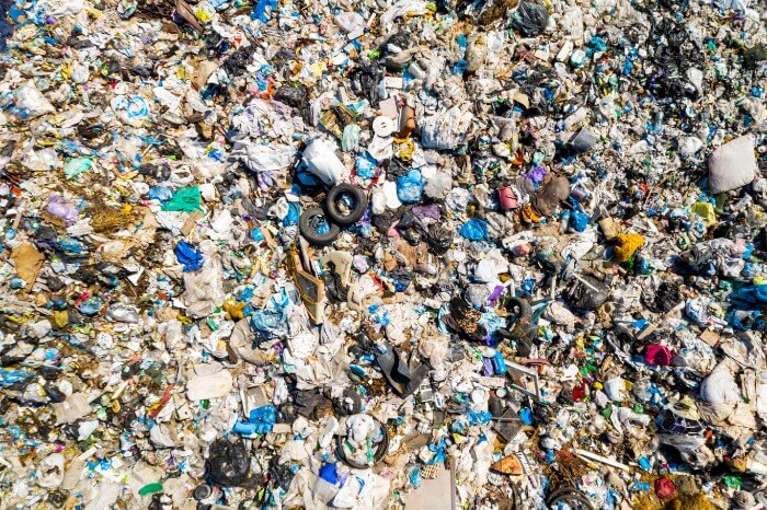 The Environmental Impact of Plastic Pollution: Is It Too Late to Solve?