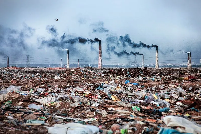 What Is the Main Effect of Overpopulation on Animals? 6 Pollution from Overpopulation
