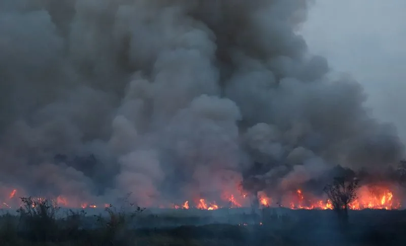 Black Smoke Wildfire