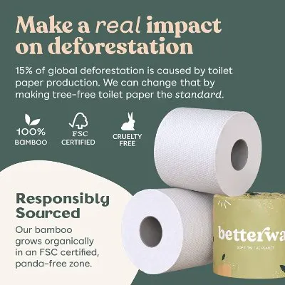 14 Best Eco-Friendly Bathroom Products to Buy Today 25 Betterway Bamboo Toilet Paper Product Qualities