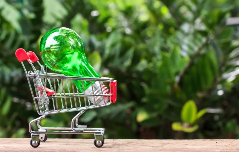 11 Best Home Energy Saving Products to Buy Today 1 Image of a green bulb