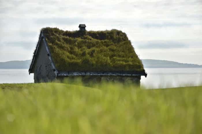 House with a Green Roof