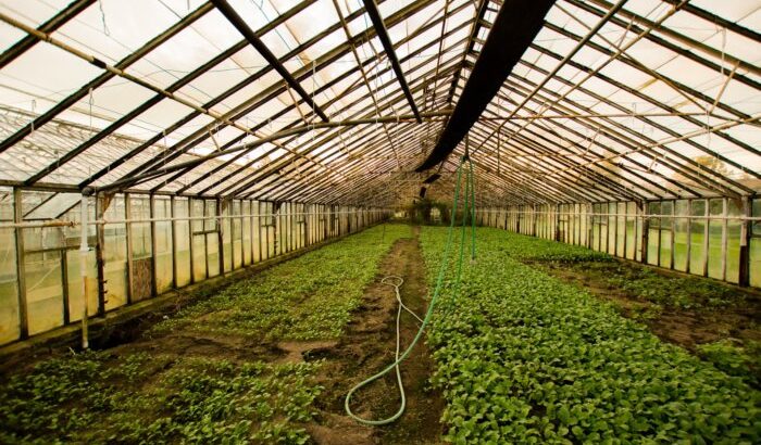 8 Best Greenhouse Fabrics to Add to Your Nursery 5 8 Best Greenhouse Fabrics to Add to Your Nursery