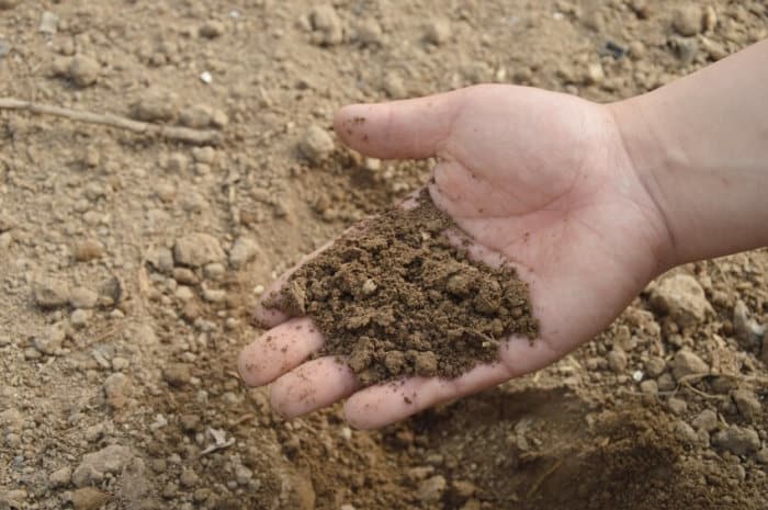 Holding Soil