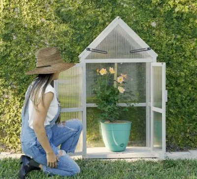 19 Best Wooden Greenhouses: Top Kits to Buy 8 Kitchen Joy Indoor Greenhouse