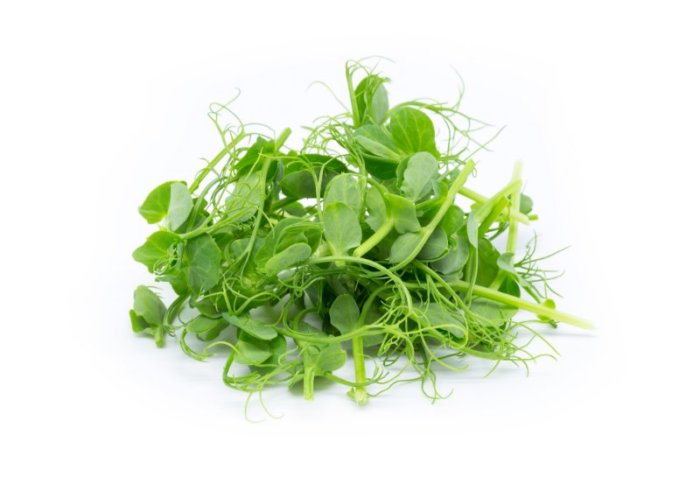 Bundle of Microgreens