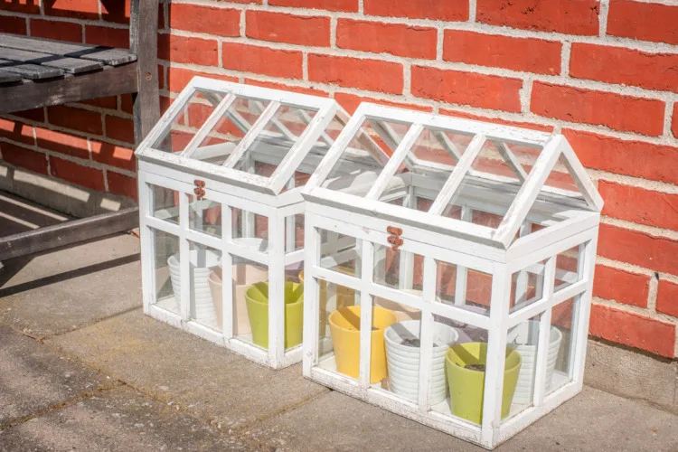 Small outdoors greenhouse in white colors